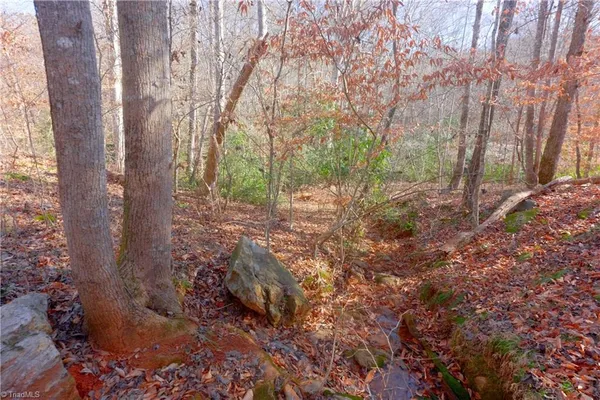 $189,900 | 6 Roby Fulk Road, Pinnacle, NC 27043