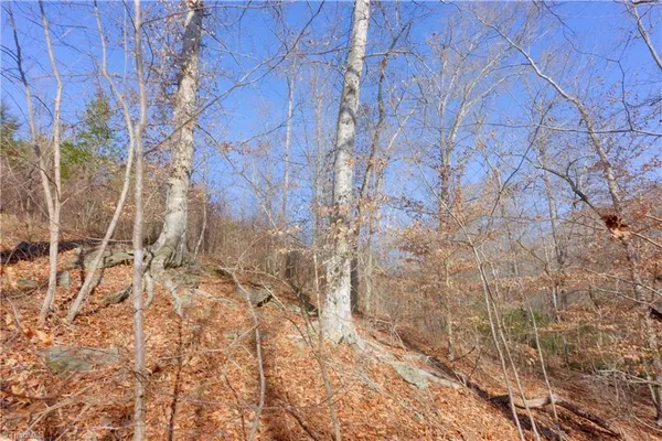 $189,900 | 6 Roby Fulk Road, Pinnacle, NC 27043