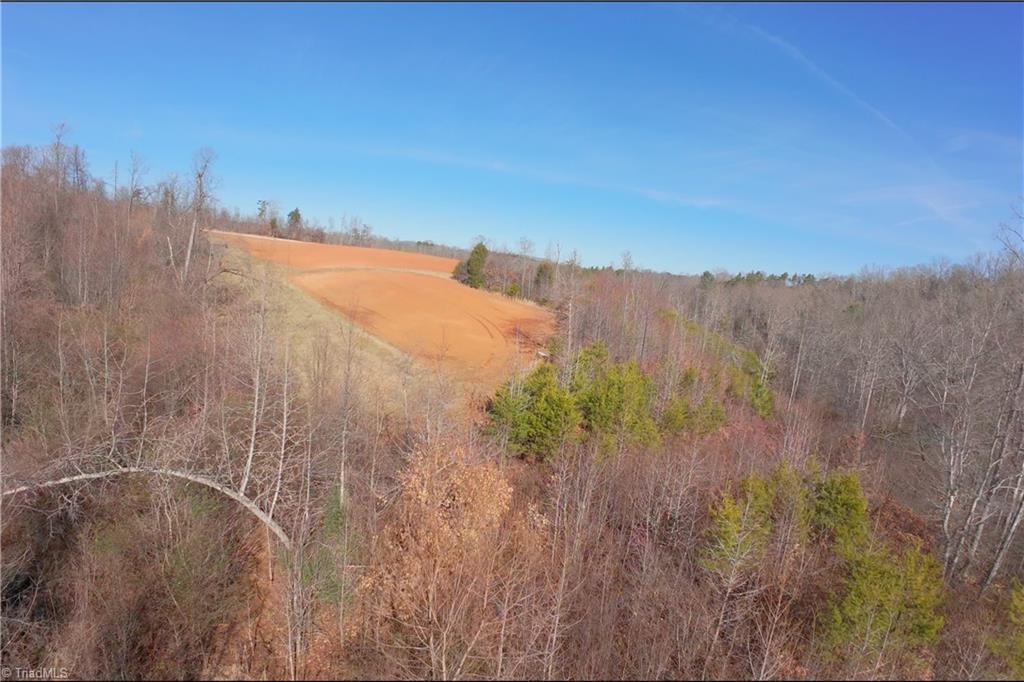 6 Roby Fulk Road Pinnacle, NC 27043 - Photo 15 of 33