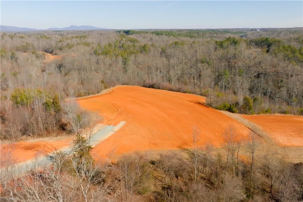 6 Roby Fulk Road Pinnacle, NC 27043 - Photo 18 of 33