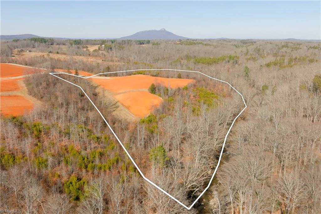 6 Roby Fulk Road Pinnacle, NC 27043 - Photo 2 of 33