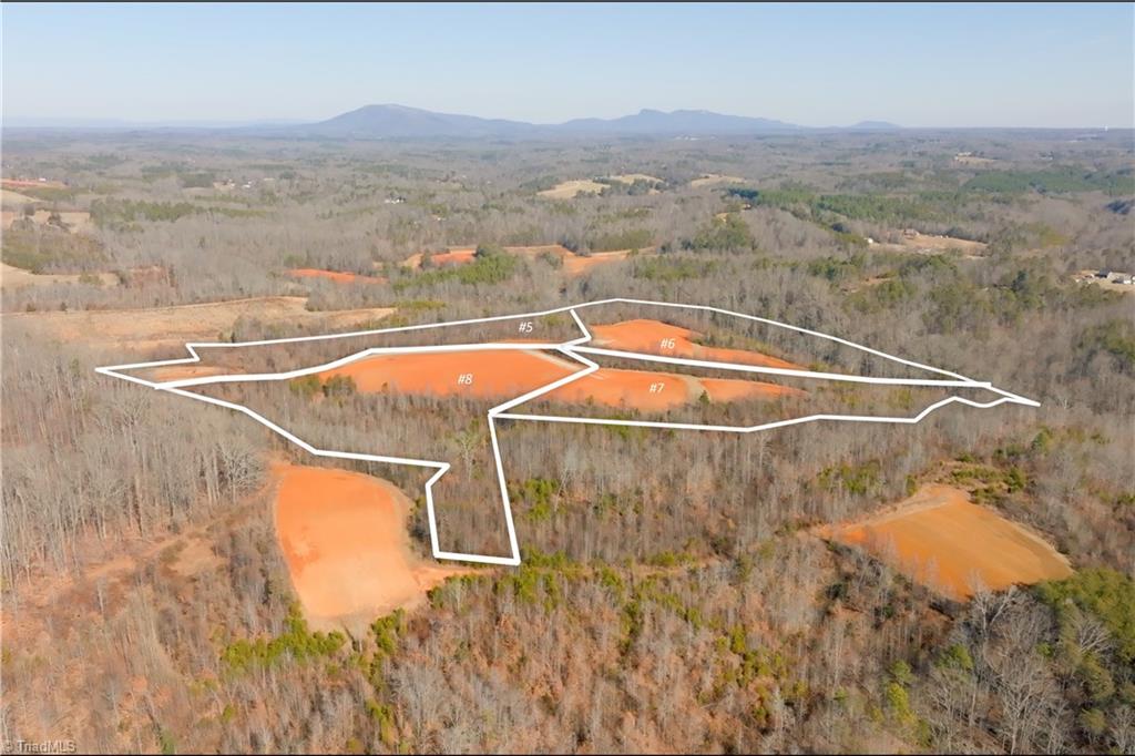 6 Roby Fulk Road Pinnacle, NC 27043 - Photo 26 of 33