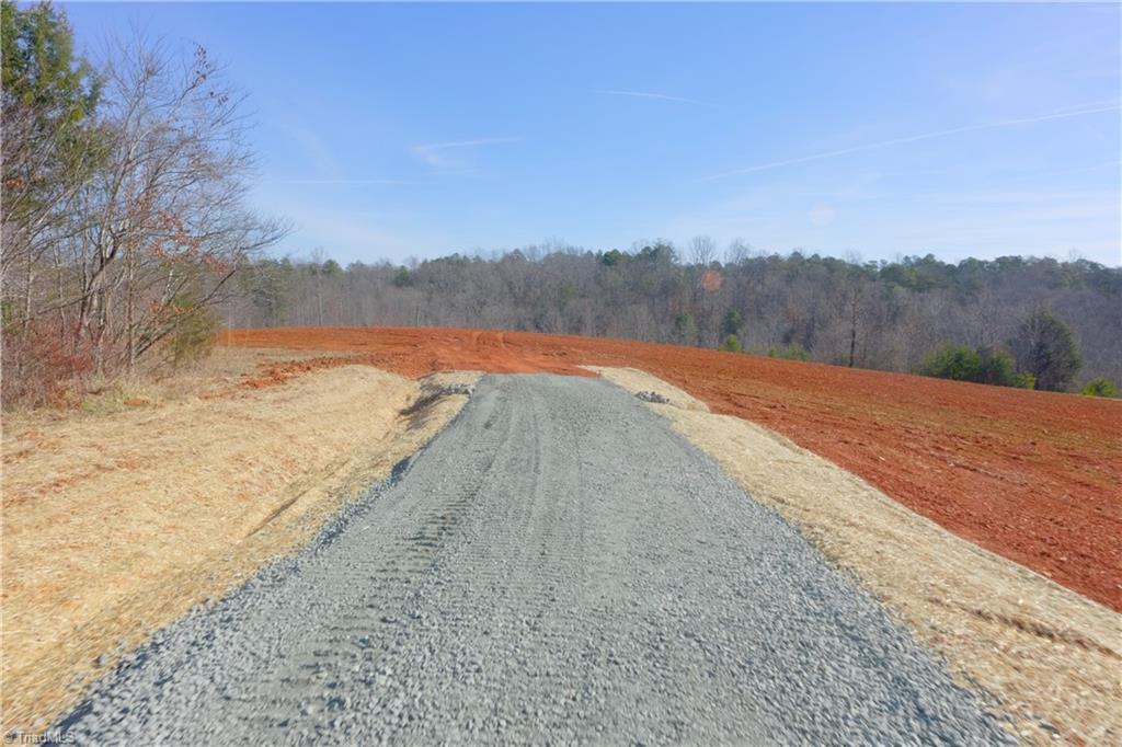 6 Roby Fulk Road Pinnacle, NC 27043 - Photo 5 of 33