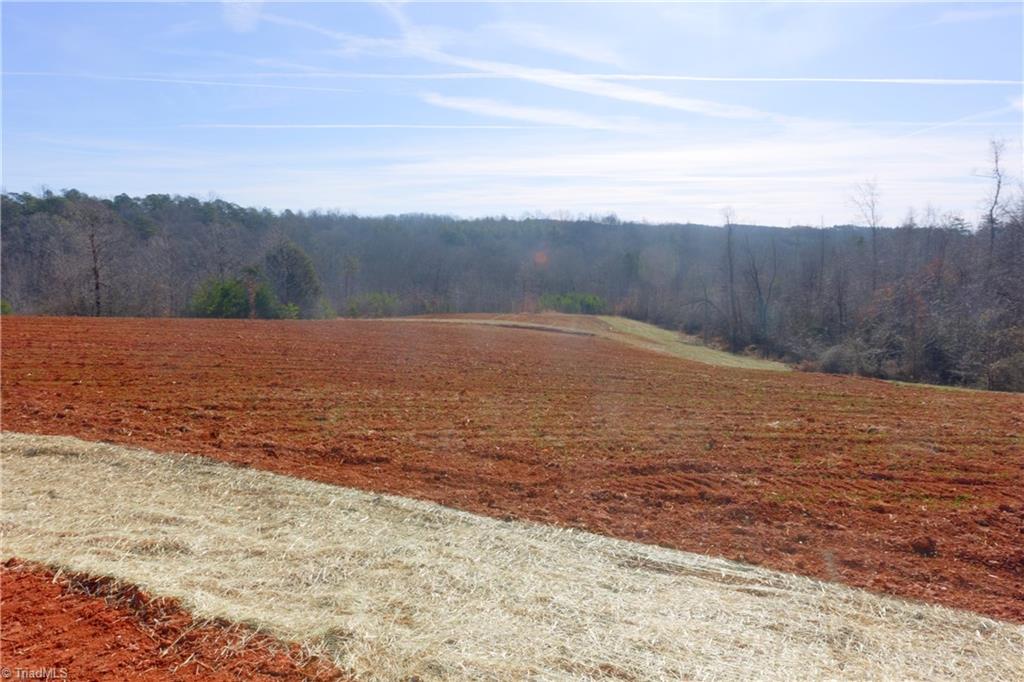 6 Roby Fulk Road Pinnacle, NC 27043 - Photo 6 of 33