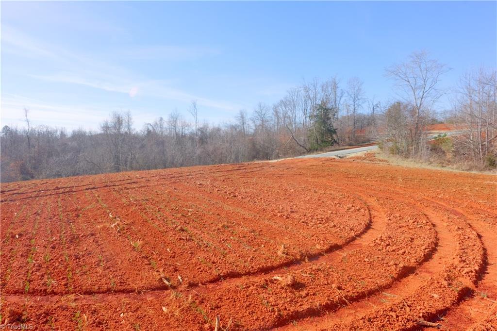6 Roby Fulk Road Pinnacle, NC 27043 - Photo 8 of 33