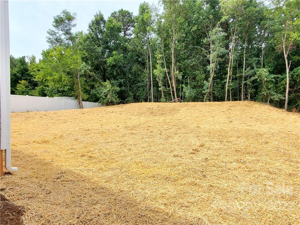 237 Mighty Joe Trail York, SC 29745 - Photo 3 of 19 Gallery Image 3