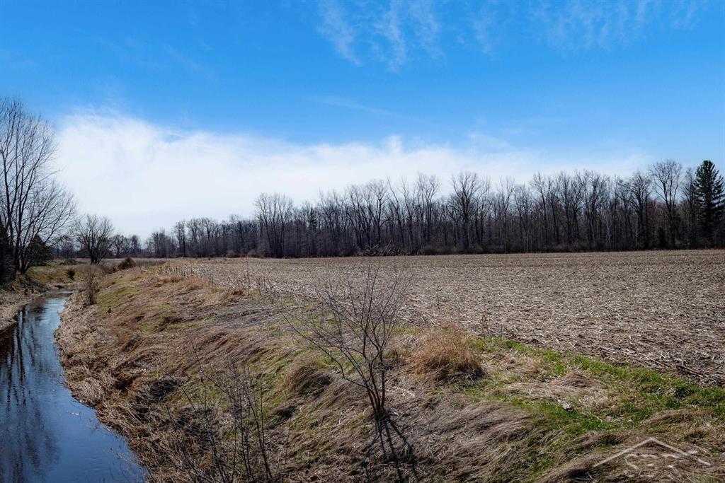78.23-acres Grabowski Road St. Charles, MI 48655 - Photo 5 of 15 Gallery Image 5