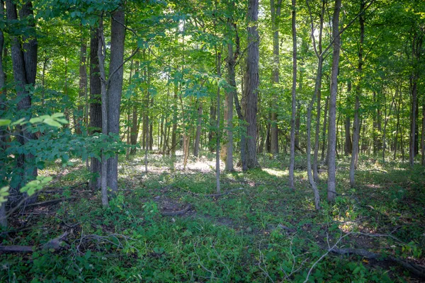 $215,000 | 25 A Klager Road, Saline, MI 48176