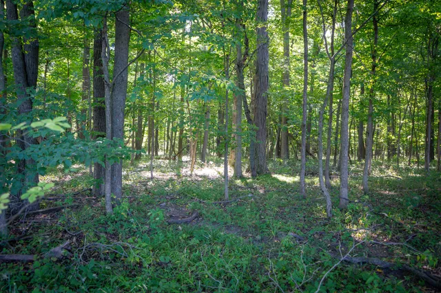 $215,000 | 25 A Klager Road, Saline, MI 48176