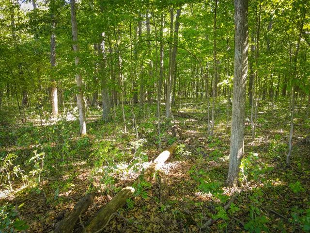 $215,000 | 25 A Klager Road, Saline, MI 48176