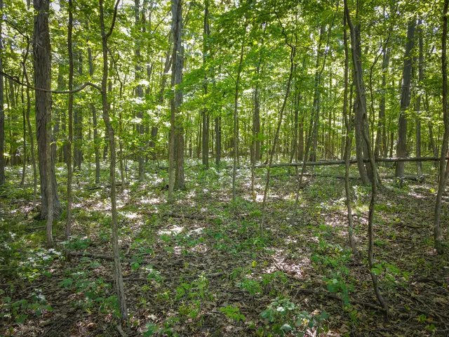 $215,000 | 25 A Klager Road, Saline, MI 48176