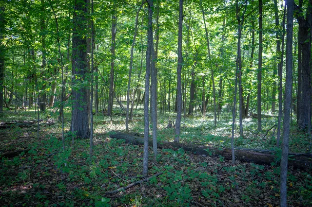 $215,000 | 25 A Klager Road, Saline, MI 48176