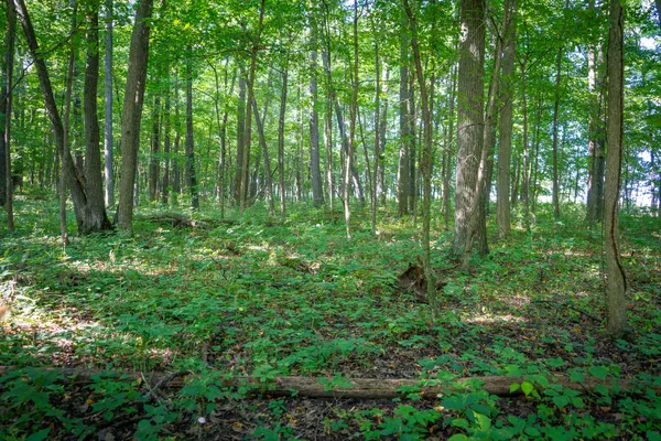 $215,000 | 25 A Klager Road, Saline, MI 48176