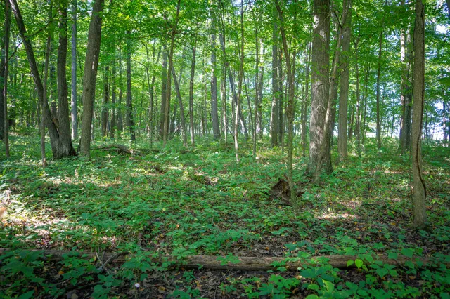 $215,000 | 25 A Klager Road, Saline, MI 48176