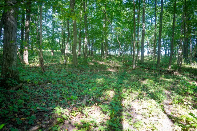 $215,000 | 25 A Klager Road, Saline, MI 48176