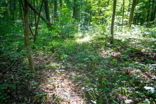 $215,000 | 25 A Klager Road, Saline, MI 48176