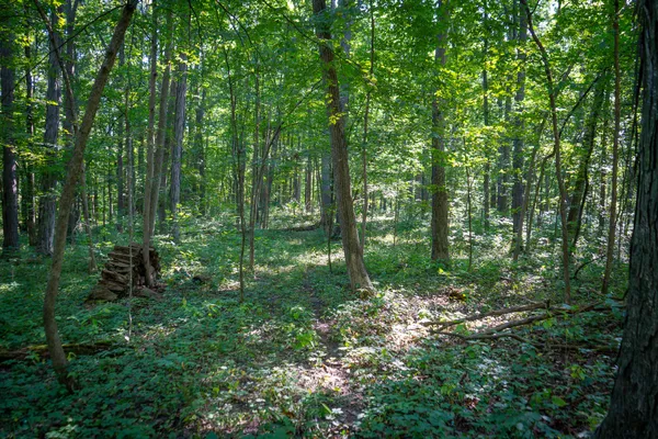 $215,000 | 25 A Klager Road, Saline, MI 48176