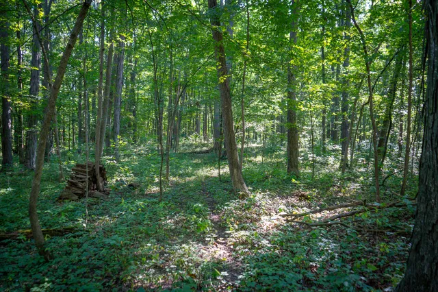 $215,000 | 25 A Klager Road, Saline, MI 48176