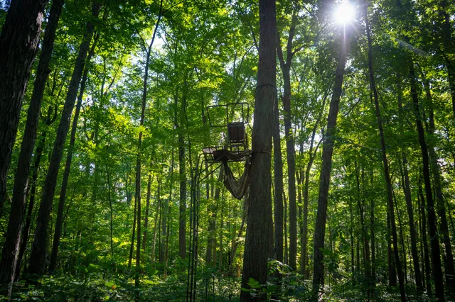 $215,000 | 25 A Klager Road, Saline, MI 48176