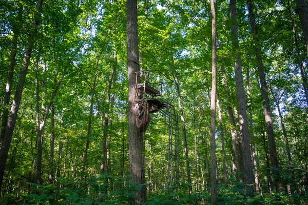 $215,000 | 25 A Klager Road, Saline, MI 48176