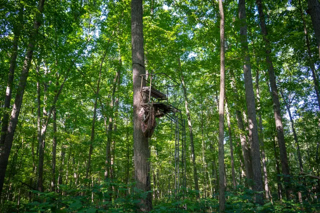 $215,000 | 25 A Klager Road, Saline, MI 48176