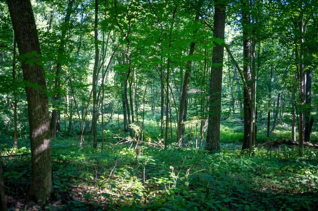 $215,000 | 25 A Klager Road, Saline, MI 48176