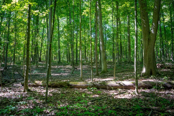 $215,000 | 25 A Klager Road, Saline, MI 48176