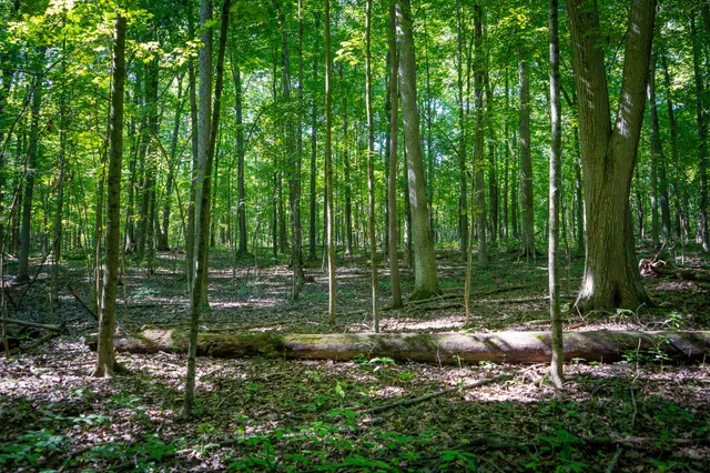 $215,000 | 25 A Klager Road, Saline, MI 48176