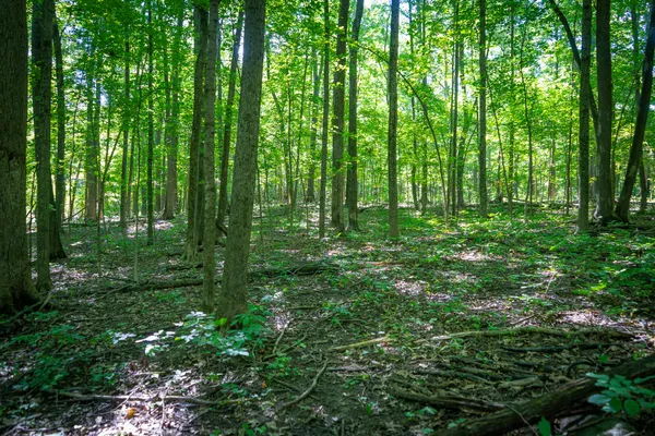 $215,000 | 25 A Klager Road, Saline, MI 48176