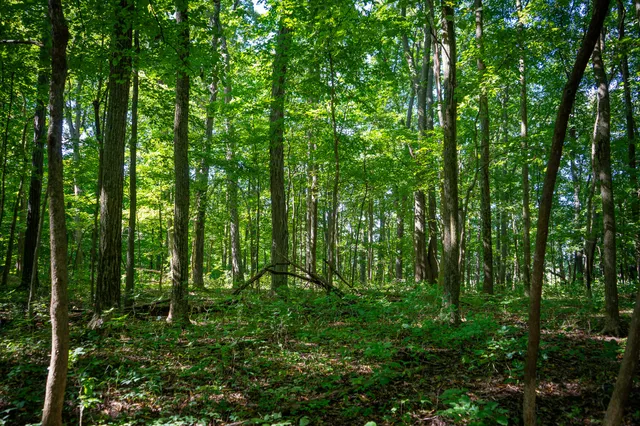 $215,000 | 25 A Klager Road, Saline, MI 48176