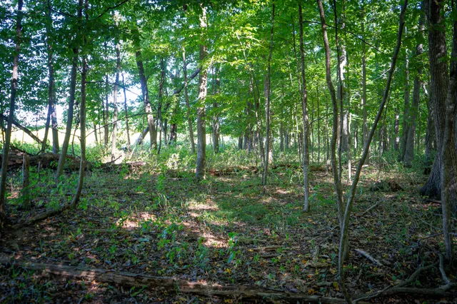 $215,000 | 25 A Klager Road, Saline, MI 48176