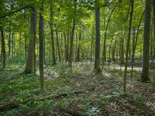 $215,000 | 25 A Klager Road, Saline, MI 48176