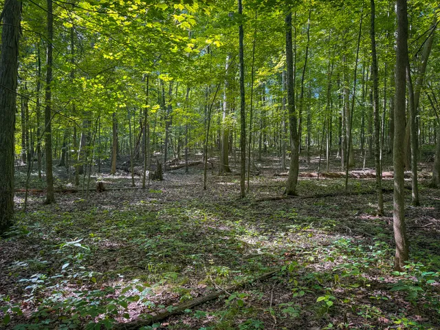 $215,000 | 25 A Klager Road, Saline, MI 48176