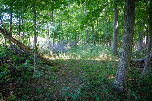 $215,000 | 25 A Klager Road, Saline, MI 48176