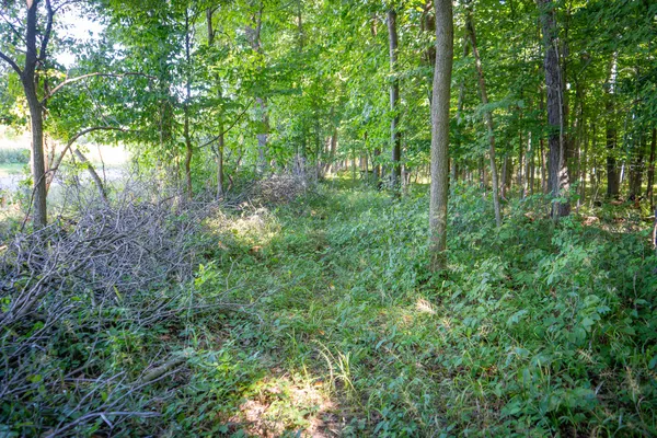 $215,000 | 25 A Klager Road, Saline, MI 48176