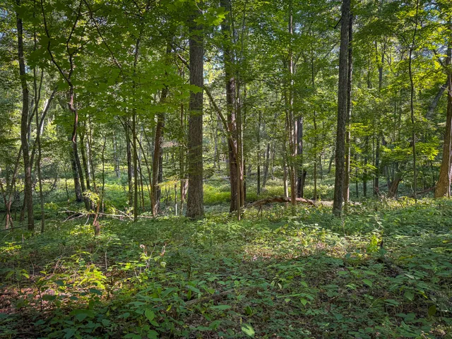 $215,000 | 25 A Klager Road, Saline, MI 48176