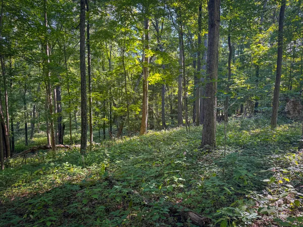 $215,000 | 25 A Klager Road, Saline, MI 48176