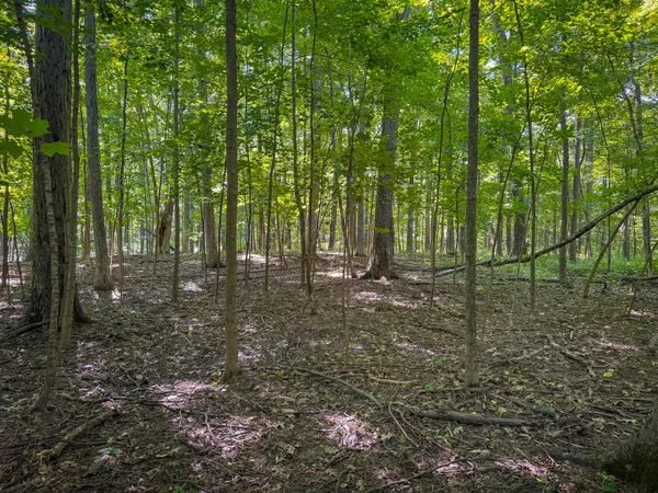 $215,000 | 25 A Klager Road, Saline, MI 48176