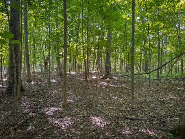 $215,000 | 25 A Klager Road, Saline, MI 48176