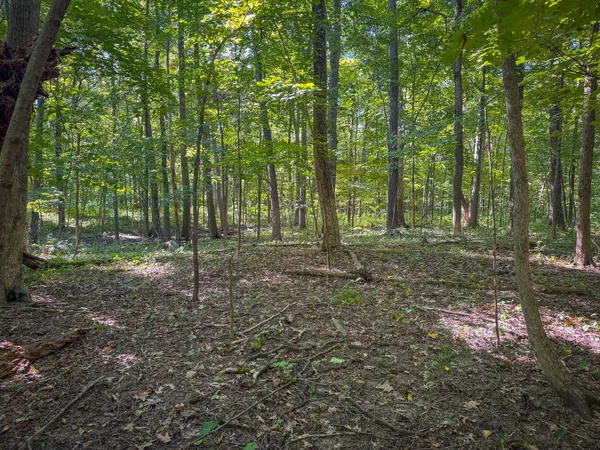 $215,000 | 25 A Klager Road, Saline, MI 48176