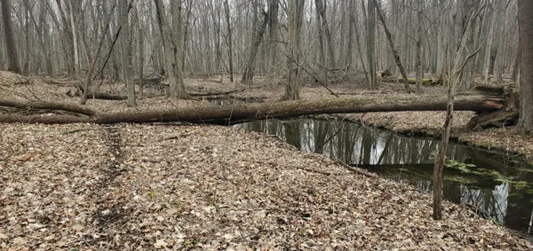 $215,000 | 25 A Klager Road, Saline, MI 48176