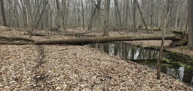 $215,000 | 25 A Klager Road, Saline, MI 48176