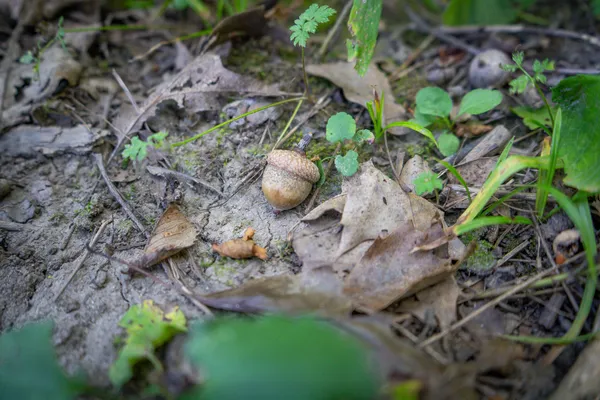 $215,000 | 25 A Klager Road, Saline, MI 48176