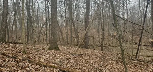 $215,000 | 25 A Klager Road, Saline, MI 48176