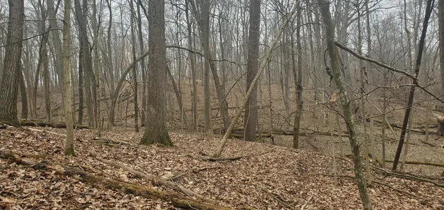 $215,000 | 25 A Klager Road, Saline, MI 48176