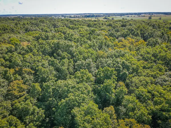 $215,000 | 25 A Klager Road, Saline, MI 48176