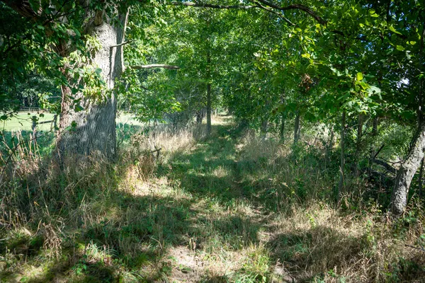 $215,000 | 25 A Klager Road, Saline, MI 48176