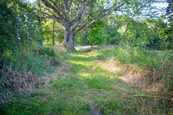 $215,000 | 25 A Klager Road, Saline, MI 48176