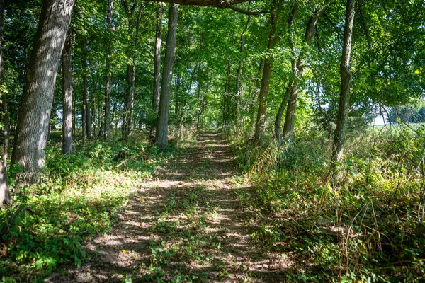 $215,000 | 25 A Klager Road, Saline, MI 48176