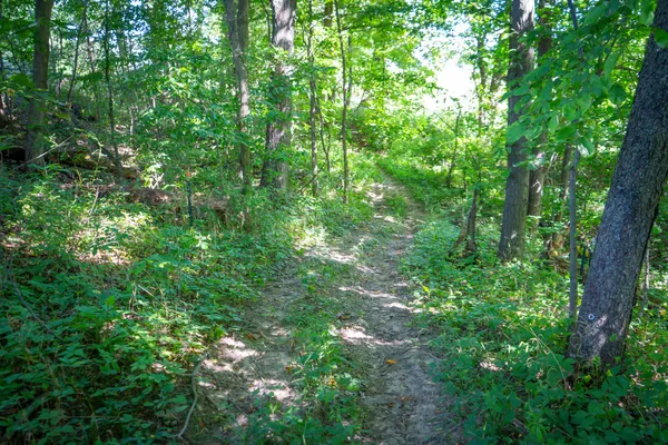 $215,000 | 25 A Klager Road, Saline, MI 48176